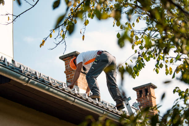 Best Emergency Roof Repair  in Lakeview, WA