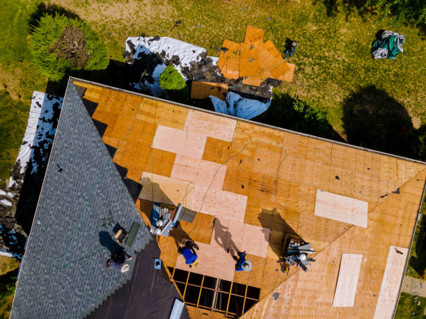Best Roof Maintenance Services  in Lakeview, WA