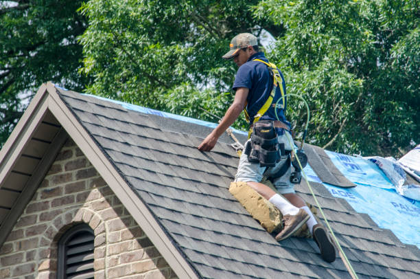 Best Gutter Installation and Roofing  in Lakeview, WA